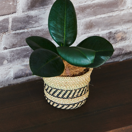 鉢カバー イリンガ プランターバスケット スモール