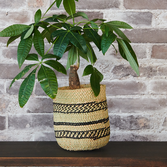 鉢カバー イリンガ プランターバスケット ミディアム