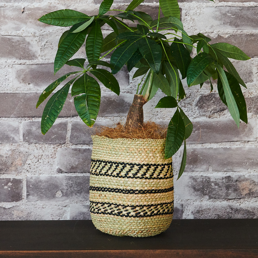 鉢カバー イリンガ プランターバスケット ミディアム