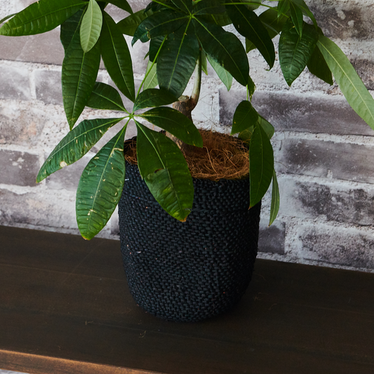 鉢カバー イリンガ プランターバスケット ミディアム(ブラック)