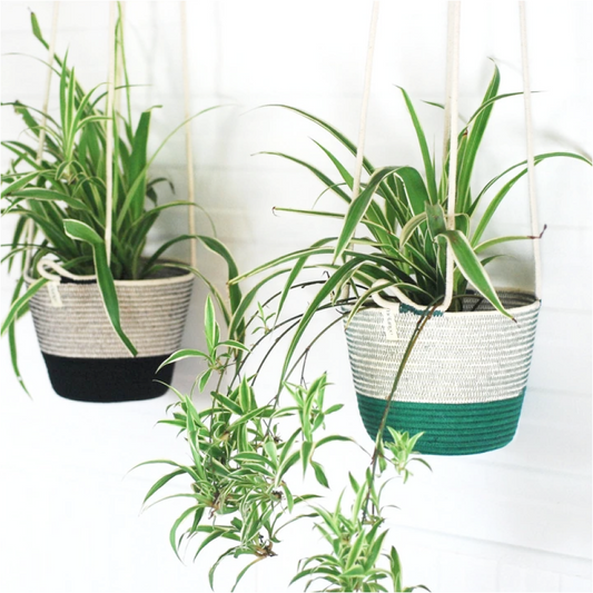 ハンギング鉢カバーS 4号 greenery Mia Mélange ミアメランジェ