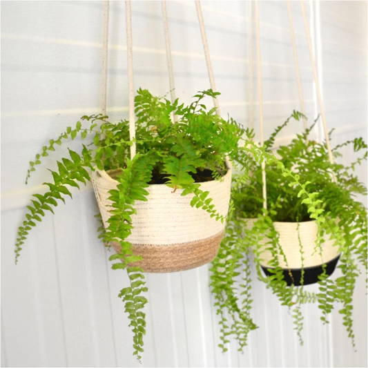 ハンギング鉢カバーS 4号 JUTE Mia Mélange ミアメランジェ